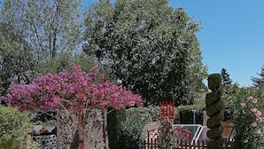 Un sendero de jardín con un diseño de piedra ornamentada, rodeado de abundante follaje y plantas florecientes.