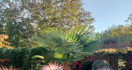 10 minutes from St Emilion! A break somewhere in the garden of maple and niwaki