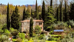 A rustic house surrounded by tall trees and greenery, with a solar panel array visible.