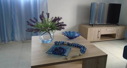 ΗΣΥΧΟ ΔΙΑΜΕΡΙΣΜΑ ΣΤΗΝ ΠΟΛΗ ΤΗΣ ΡΟΔΟΥ