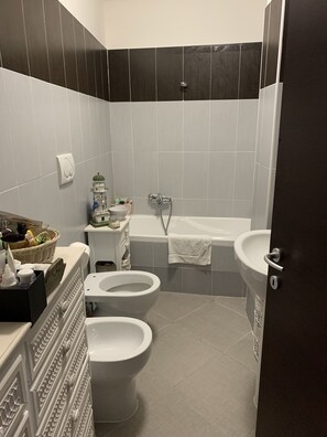 Combined shower/bathtub, hair dryer, bidet, soap