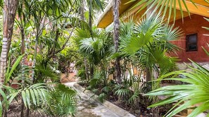 Property grounds - Casa Noa master suite 3 steps from the sea (Tulum)