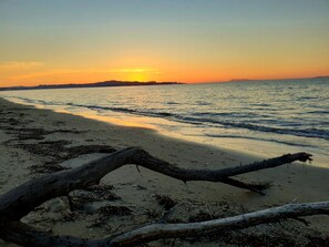 Accommodatie ligt op het strand, strandlakens