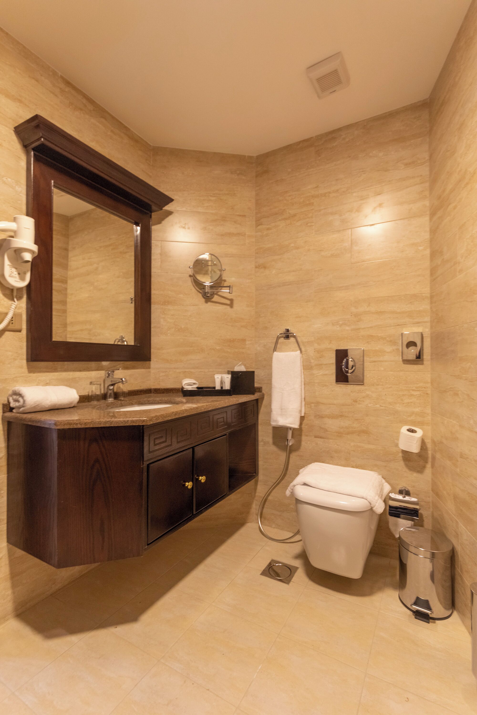 Foto - Petra Canyon Hotel