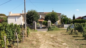 Property grounds - Apartment at Haut Pourret in Saint Emilion (Gironde) (Saint-Émilion)