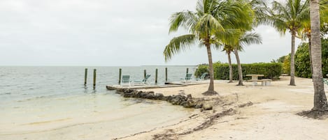 Una playa cerca