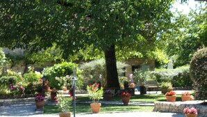 Ein Garten mit verschiedenen Topfpflanzen und einem Weg.