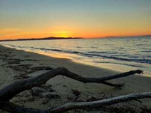 A beach with a fallen tree in the foreground, calm water, and a sunset in the background.