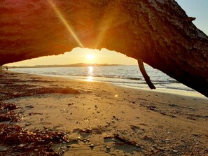 Playa en los alrededores y toallas de playa 