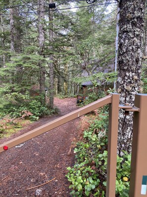 Property grounds - Cheerful Custom Cabin w/Chef’s Kitchen / Hot Tub on Zig Zag River (Rhodadendron)
