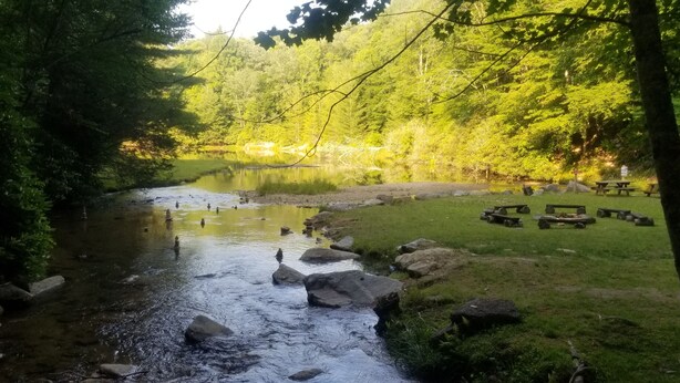 Un cadre paisible au bord de la rivière, avec des tables de pique-nique et une vue dégagée sur l’eau.
