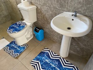 Shower, towels, soap, toilet paper