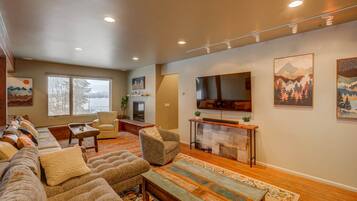 Télévision, cheminée, lecteur de DVD, vidéothÚque