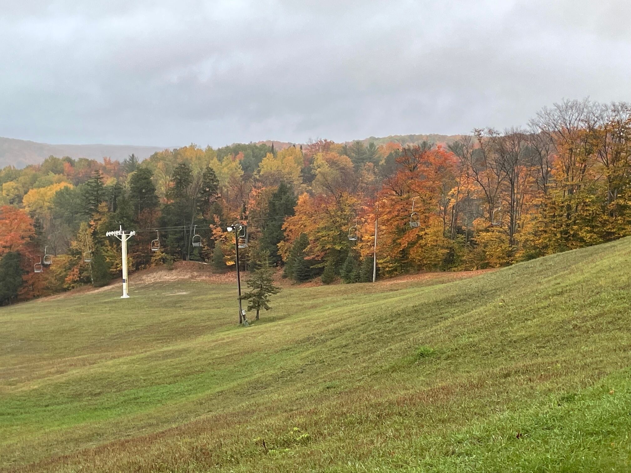 A grassy field with a ski lift and trees in autumn colors.