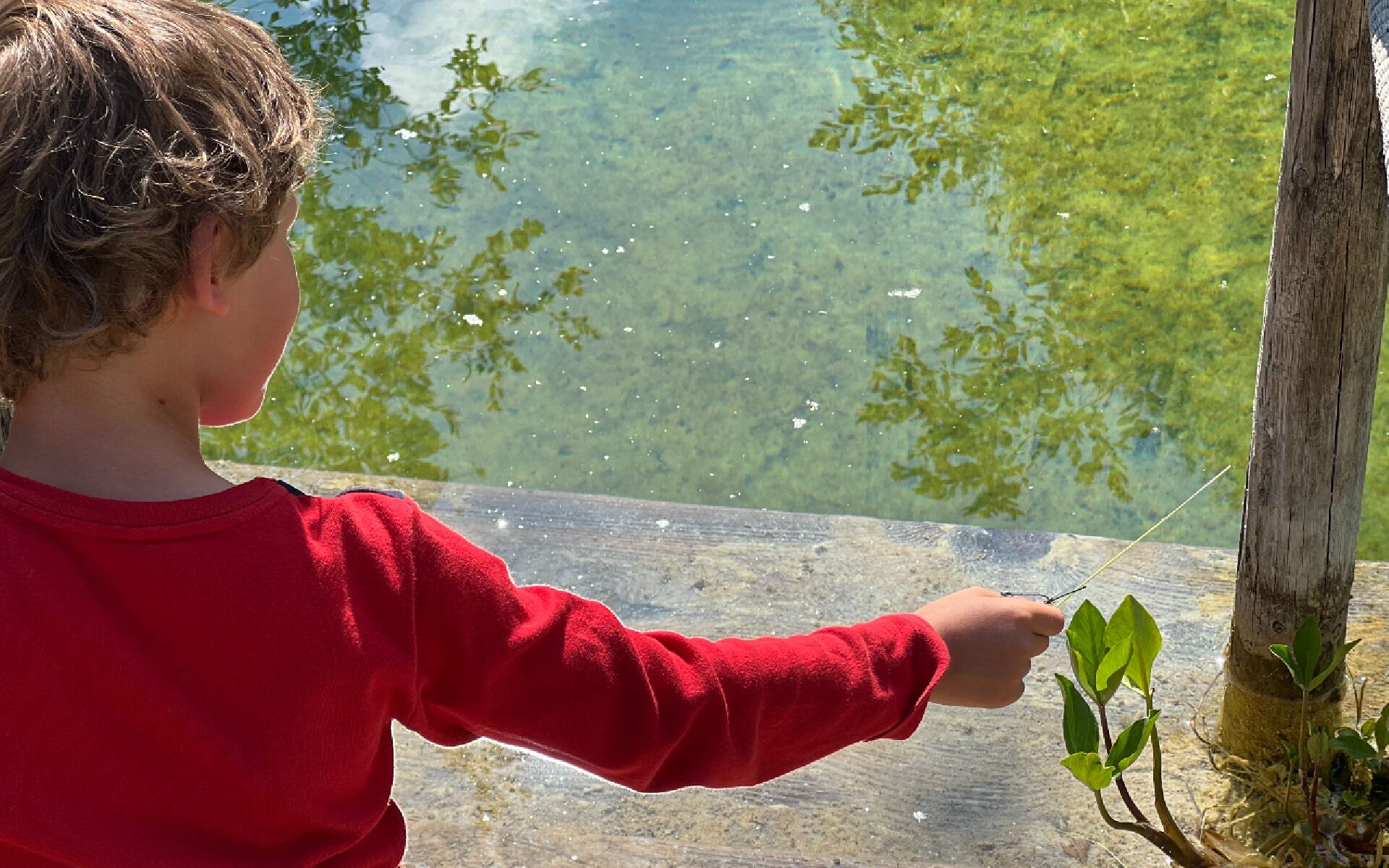 Un enfant tenant une canne à pêche près d’un poteau en bois, au bord d’une étendue d’eau.