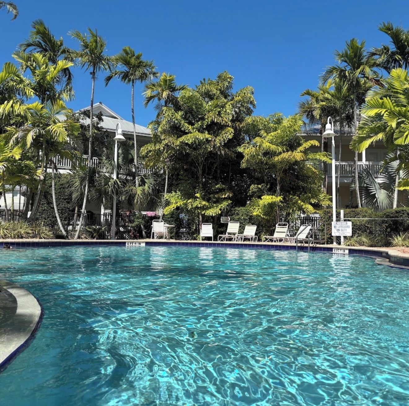A swimming pool with clear water, surrounded by palm trees and lounge chairs.