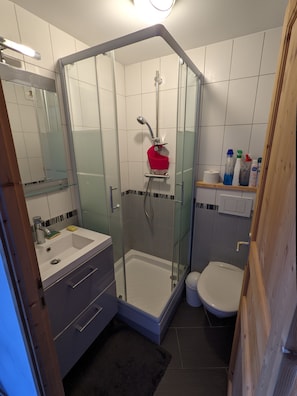 Dusch, hårtork, tvål och toalettpapper
