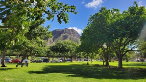 A park with green grass, trees, and a mountain in the background. - Diamond head charmer (Honolulu)