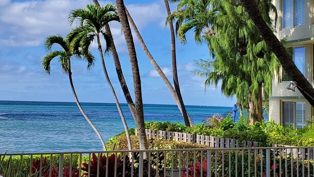 A balcony with a view of the ocean, surrounded by palm trees and a white fence. - Diamond head charmer (Honolulu)