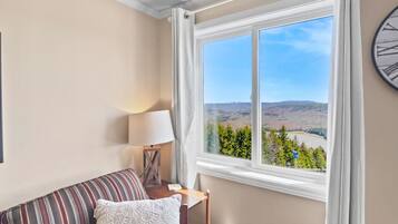 Flat-screen TV, fireplace