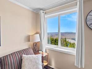 Flat-screen TV, fireplace