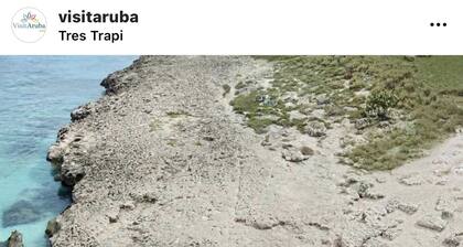 Sun Haven Beautiful Terrace Apartment