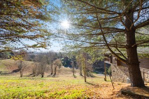 Una cabaña rústica con fachada de piedra, rodeada de un paisaje boscoso y un cielo despejado.