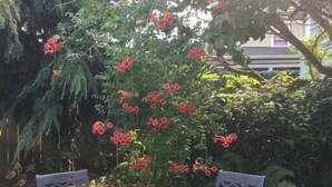 A round table with two chairs in a garden area. - Petal Studio near DT, Free Parking (Victoria)