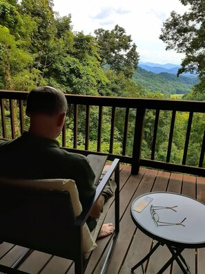 Property grounds - Treetops Cabin easy to Asheville w/ Comfy King Suite, ❤ Views, fast wifi (Mars Hill)