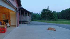 Un perro descansando sobre un pavimento de hormigón frente a un edificio con una terraza de madera y una puerta de garaje.