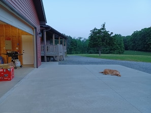 Een hond ligt op een betonnen oprit voor een gebouw met een houten terras en een garage.