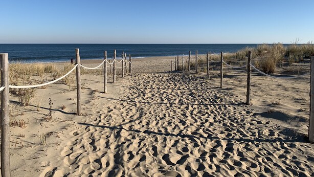 Un sendero arenoso en la playa con postes y cuerdas de madera que conduce al océano.