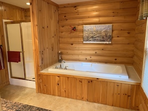 Shower, jetted tub, hair dryer, towels