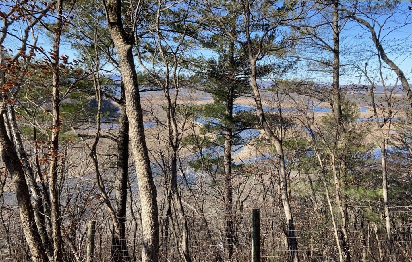 A natural landscape with trees and a fence.