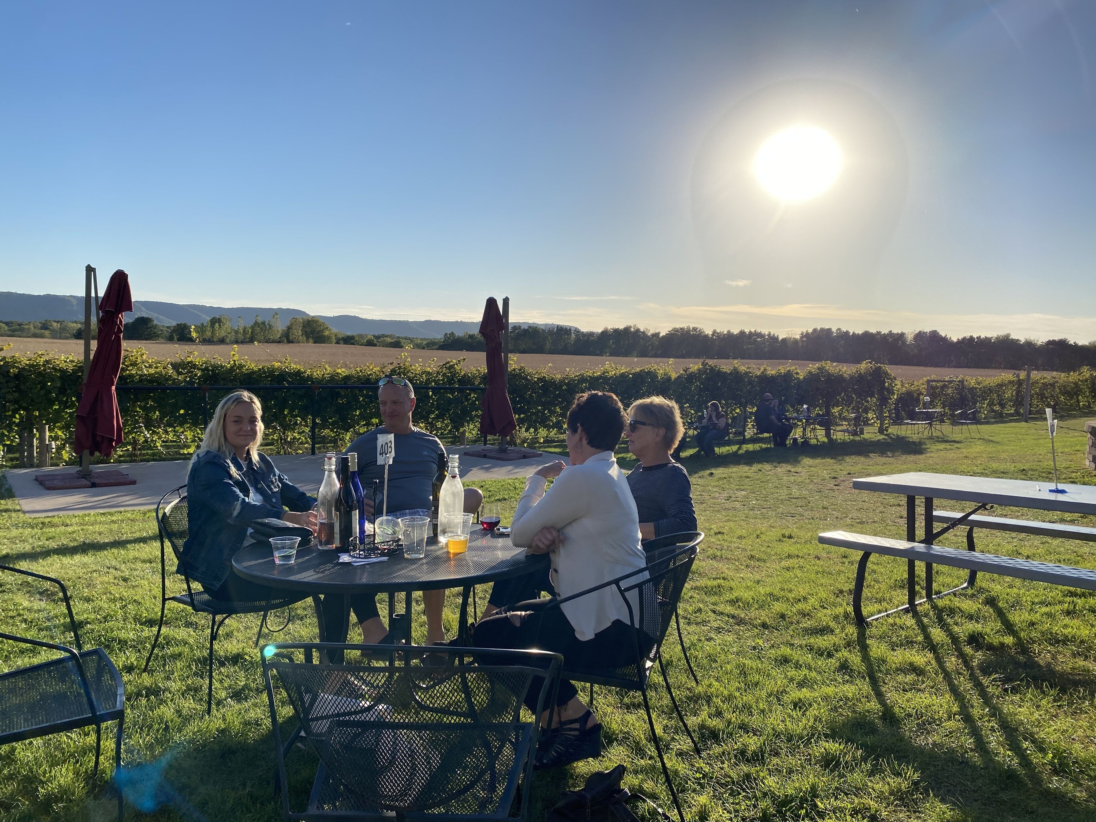 A group of people seated at an outdoor table with a vineyard backdrop.