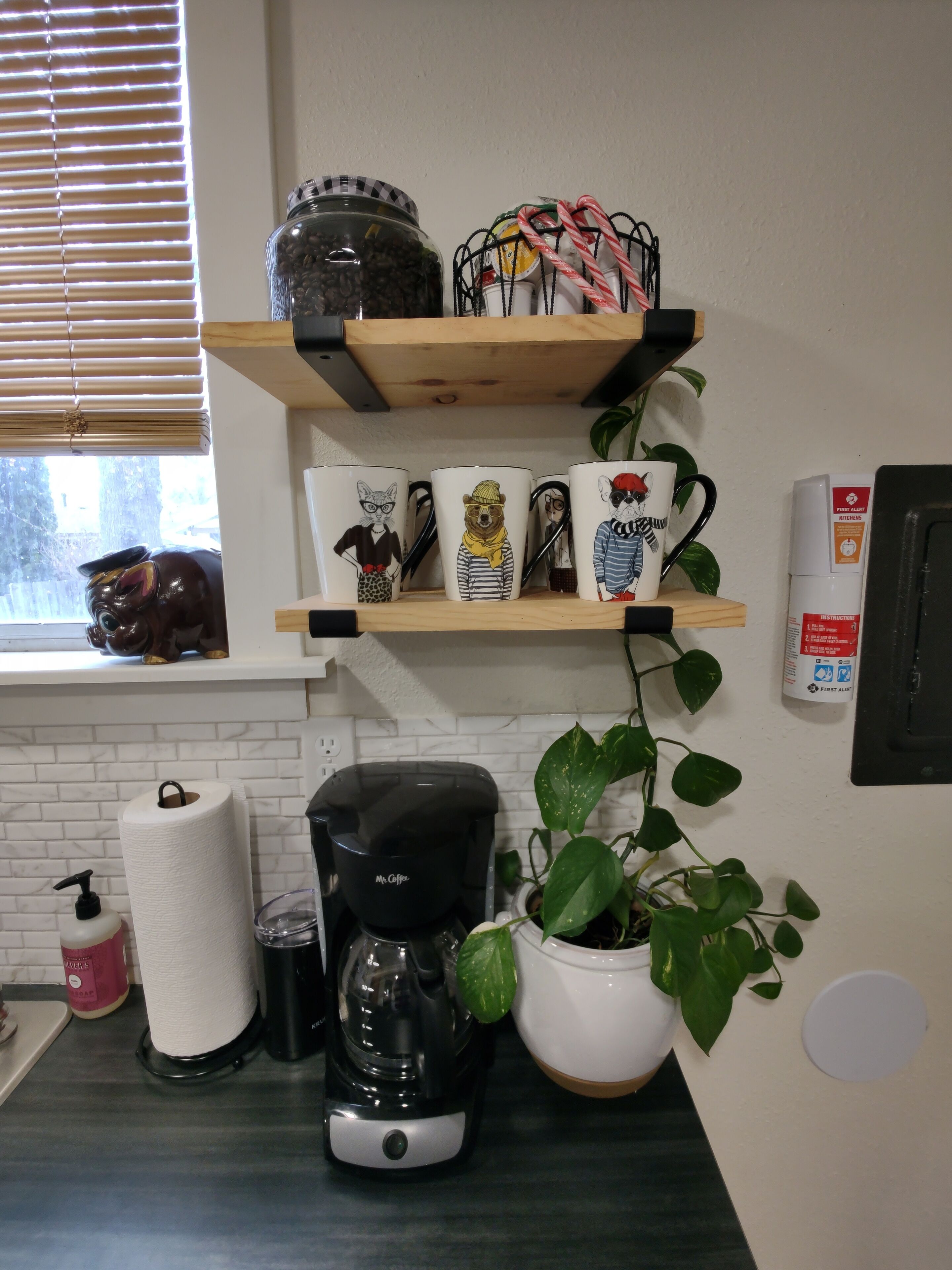 A kitchen with a coffee maker, a roll of paper towels, a potted plant, and a shelf with mugs.