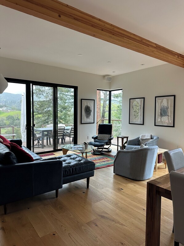 Smart TV, fireplace, books, stereo