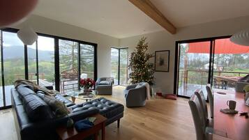 Smart TV, fireplace, books, stereo