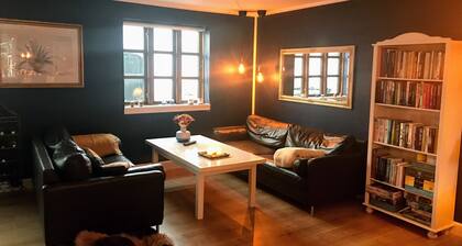 Old Charming and Cosy Cityhouse