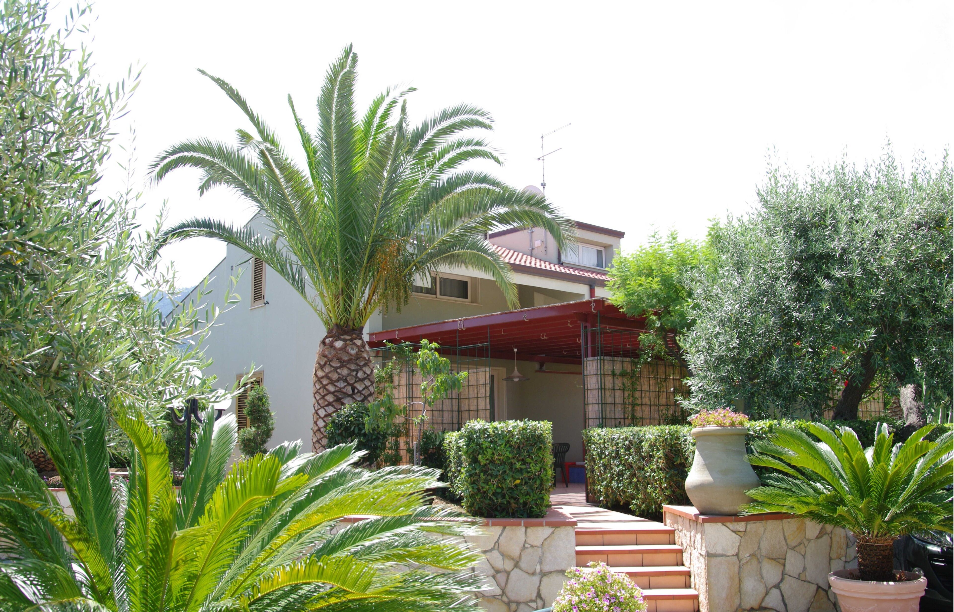 Una casa con patio coperto, scalini in pietra e diverse piante, tra cui palme e arbusti.