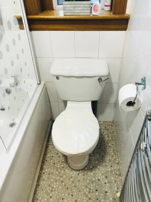 Apartment, 1 Bedroom, Fireplace, Garden View | Bathroom | Hair dryer, shampoo