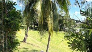 Un jardín exuberante con palmeras y un césped bien cuidado.