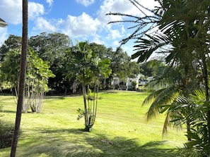 A well-maintained lawn with palm trees and a clear sky. - Rockley Orange Hill - by Zenbreak (Bridgetown)
