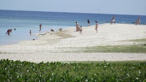 A beach with people sunbathing and swimming. - West Front One No 4 With Seafront Beachfront Licensed By Tourism Authority 14977 (Flic-en-Flac)