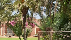 Pool - Very Chic Private Villa With Garden And Pool (Tameslouht)