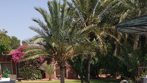 Pool - Very Chic Private Villa With Garden And Pool (Tameslouht)