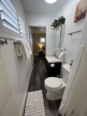 Combined shower/bathtub, hair dryer, towels, soap
