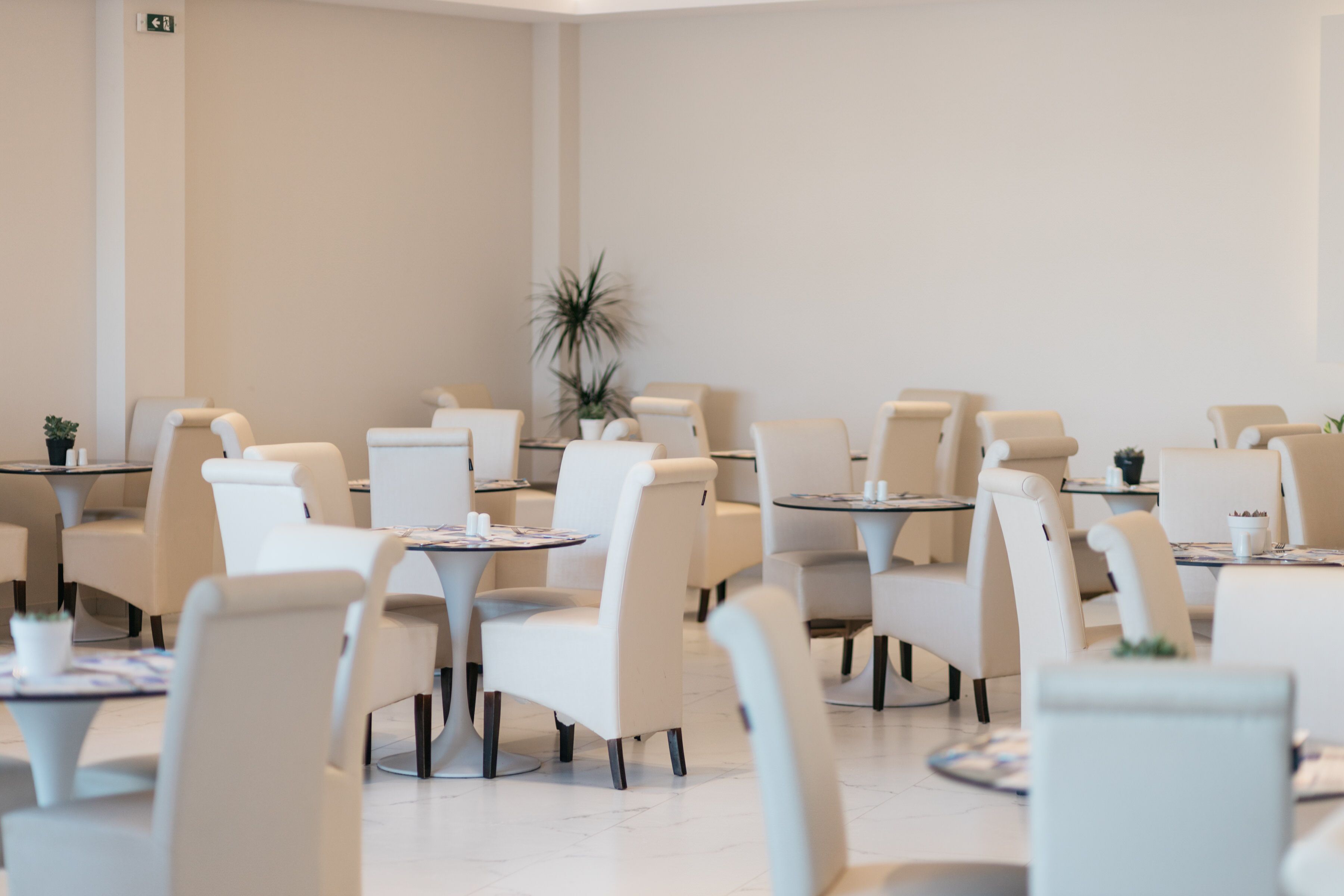 A modern, well-lit dining area with round tables and white chairs, featuring a minimalist design and a central potted plant.