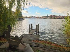 Unclassified image, 3 of 46, button