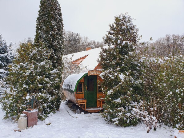 A snow-covered train car with a green door, surrounded by snow-laden trees and bushes.